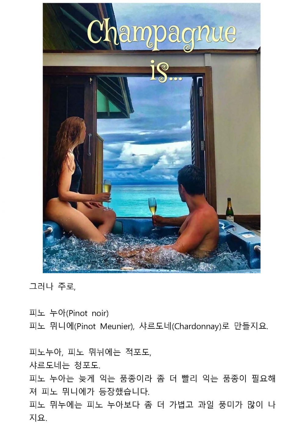 권기훈의 와인 스토리텔링7 - Champagne is....? - 한인문화회관